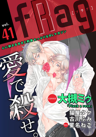 fRag vol.41のイメージ