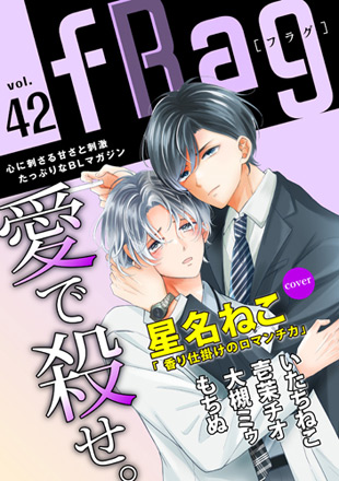 fRag vol.42のイメージ