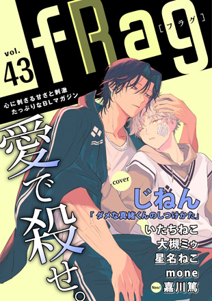 fRag vol.43のイメージ