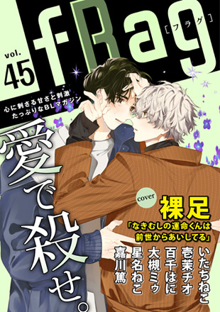 fRag vol.45のイメージ